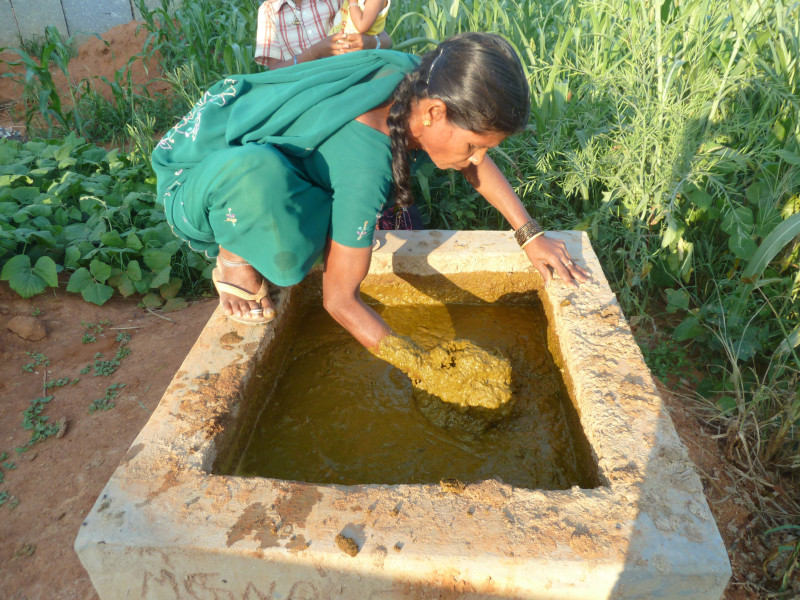 une femme alimente un biogesteur en Inde