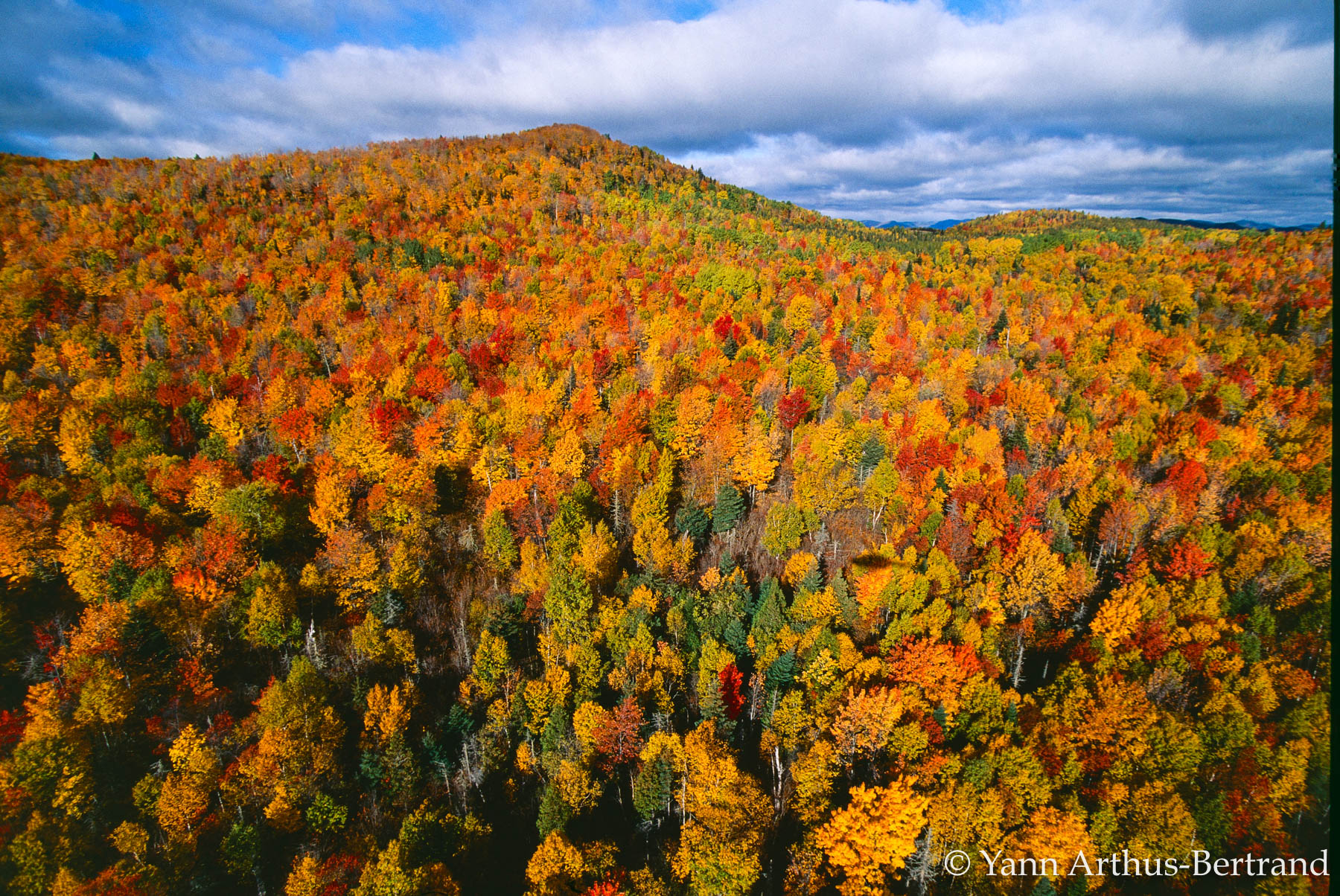 Forêt d’automne dans la région de Charlevoix au Canada